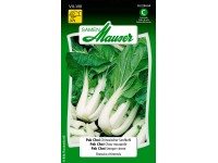 Pak Choi Chinesischer Senfkohl