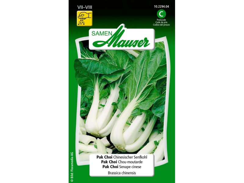 Semi Di Pak Choi Canton (Bok Choy) Varietà Cimelio - Oltre 500 Semi Per Semi Di Pak Choi Canton (Bok Choy) Varietà Cimelio - Oltre 500 Semi Per