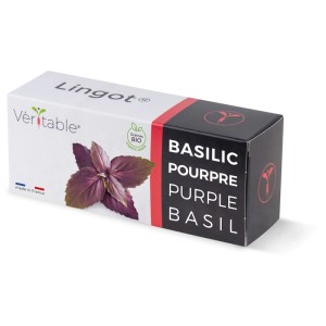 Paquet de graines de basilic pourpre bio Véritable Lingot pour jardins d'intérieur.