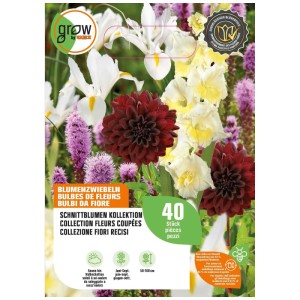 Grow by OBI Mix di fiori recisi, 40 pz. Bulbi da fiore per bouquet colorati.