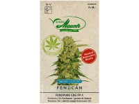 Hanfsamen Cannabis Fenopure FP-1 / 3 Stk.