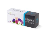 Véritable Lingot Blumensamen Petunie Véritable Lingot Blumensamen Petunie