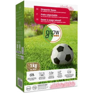OBI Gazon Robuste 1 kg : Semences pour gazon résistant avec ballon de foot.