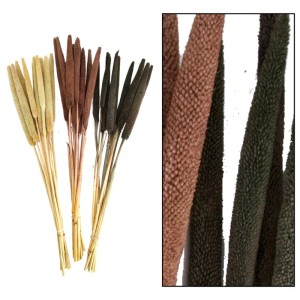 Decofinder spighe decorative Babala, 70 cm, colori naturali: beige, marrone, marrone scuro. Piante artificiali essiccate.