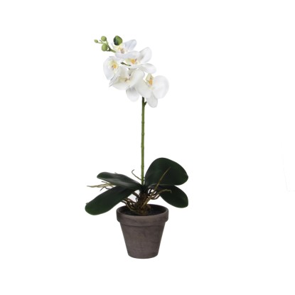 Mica Decorations Pianta artificiale Phalaenopsis Bianco vaso Ø 13 cm / H 48 cm