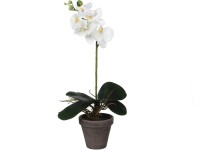 Mica Decorations Kunstpflanze Phalaenopsis Weiss Topf Ø 13 cm / Höhe 48 cm