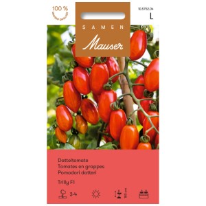 Sachet de graines de tomate Datteltomate Trilly F1 avec des tomates rouges mûres sur la plante.