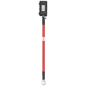 Fusible de batterie EcoFlow pour chargeur d'alternateur 800W avec câble rouge et boîtier de fusible.