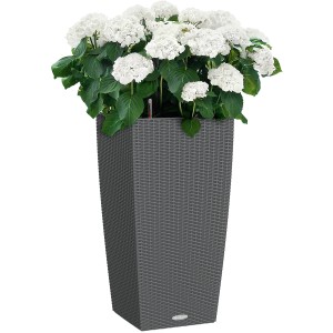 Pot de fleurs Lechuza Cubico Cottage 30 en granit avec hortensia blanche, 30x30cm.