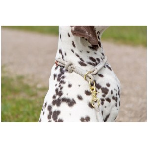 Collare per cani Trixie Soft Rope, grigio e grigio chiaro, Ø 13mm, circonferenza 50cm sul collo di un dalmata.
