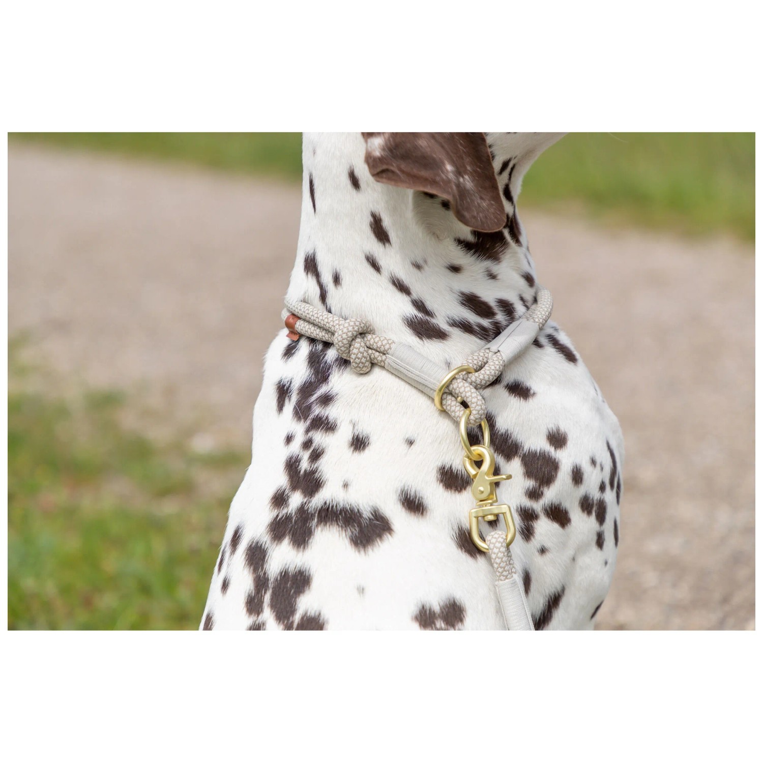 Trixie BE NORDIC Hunde Zug-Stopp-Halsband  Petrol/hellgrau, 6 Gren