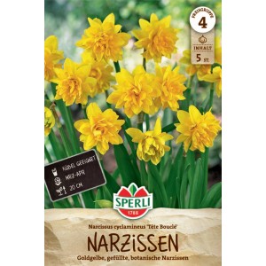 Verpackung Sperli Narzissen 'Tête Bouclé', gefüllte, goldgelbe Blüten, botanische Narzisse.