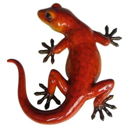 Gecko Orange
