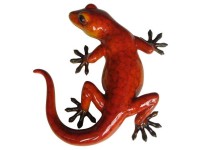 Gecko Orange