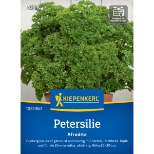 Prezzemolo Afrodite Kiepenkerl Profi-Line con fogliame denso, riccio e verde intenso.