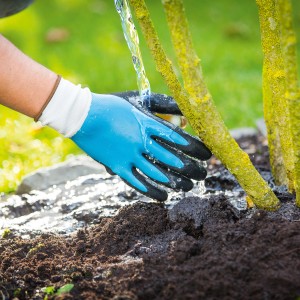 Gants de jardin bleus taille 9 arrosant une plante. Gants de travail avec revêtement antidérapant.