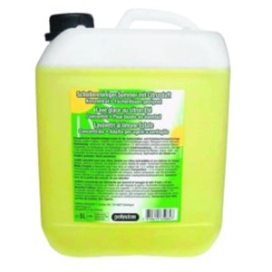 Tanica Polyston detergente estivo concentrato 5L, cura auto per una visione chiara