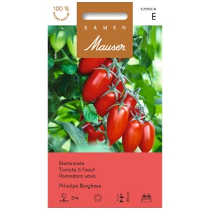 Graines Mauser Eiertomate Principe Borghese : Tomates rouges ovoïdes sur la plante.