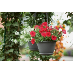 Suspension anthracite Geli Galicia Ø 25 cm avec fleurs rouges et blanches.