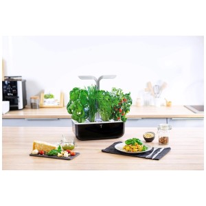 Véritable Smart Indoor Herb Garden nero con erbe aromatiche e illuminazione LED.