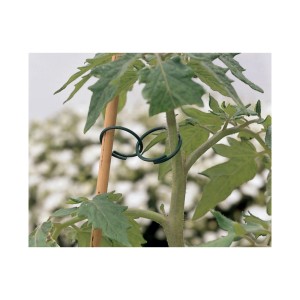 Attaches anneaux vertes (30 pcs) fixées à la tige de la plante, pour un soutien délicat au jardin.