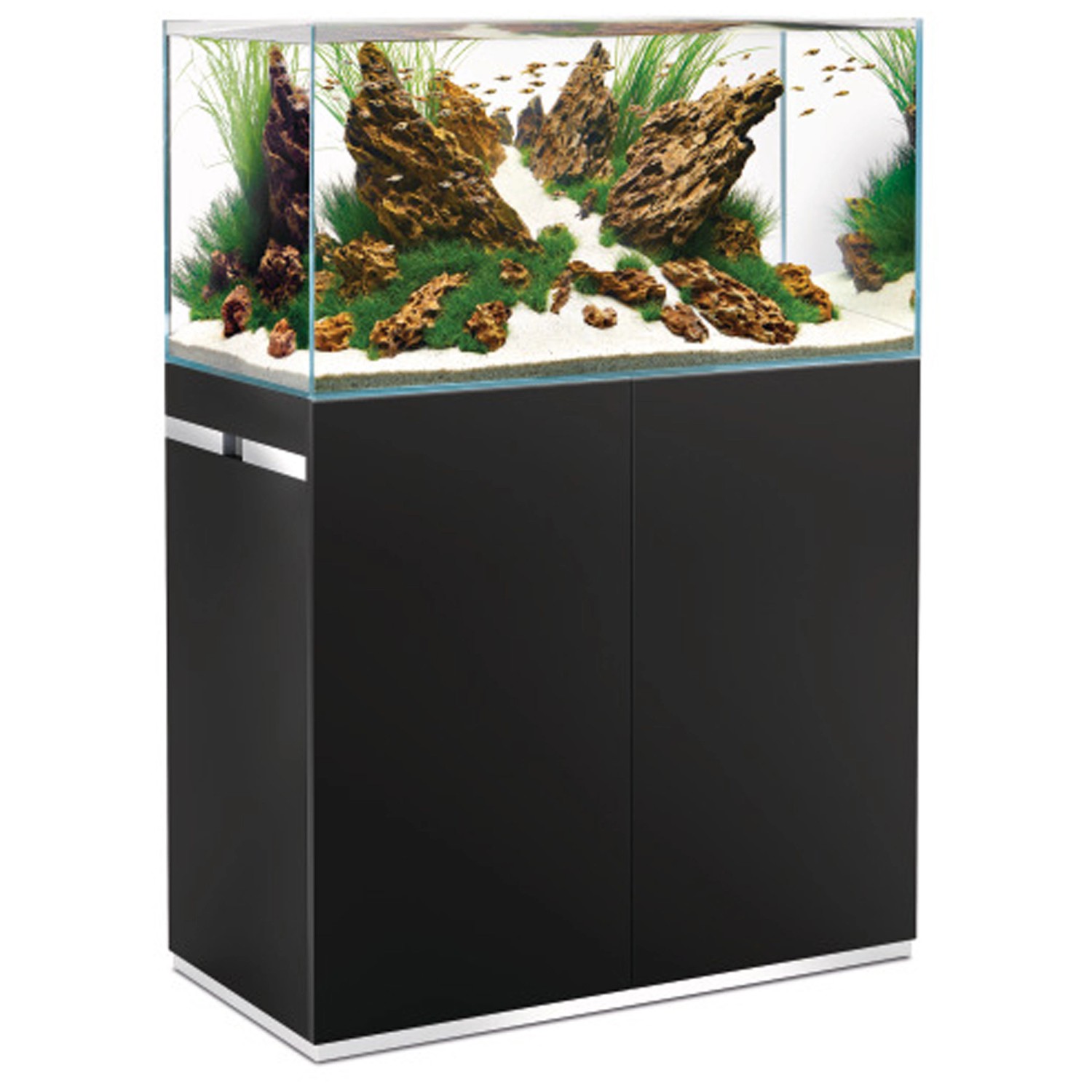 Aquarium 80cm breit mit Schrank inklusive top Fischen und Zubehör