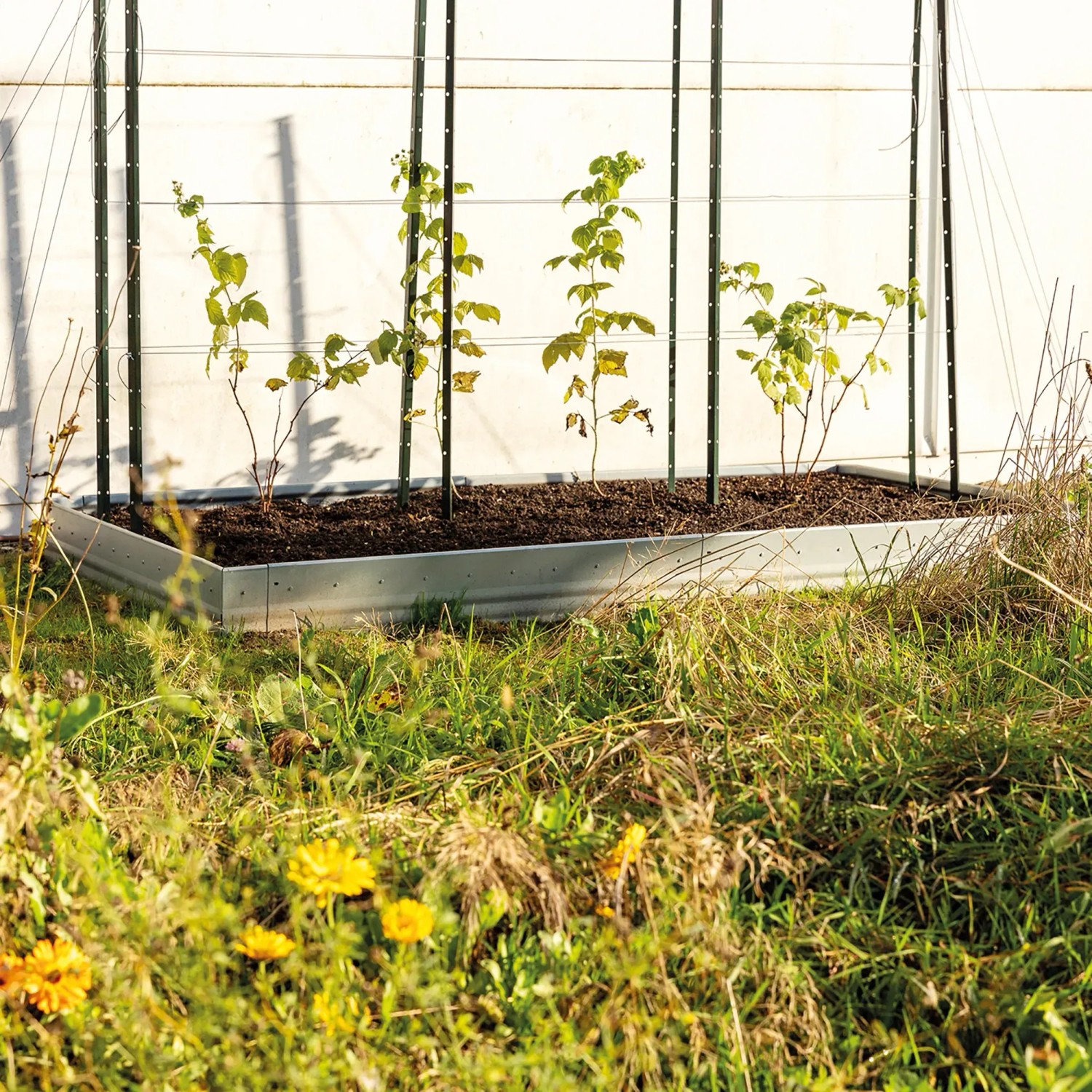 Bellissa Bordure Plate bande Pro T le D acier Galvanis e 20 X 100 Cm 