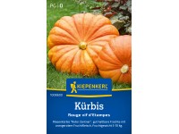 Kiepenkerl Kürbis Rouge vif d'Etampes