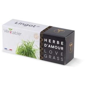 Véritable Lingot confezione di semi di erba dell'amore per giardini interni.