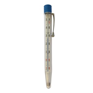 Thermomètre universel Möller Therm, 12 cm, en plastique pour liquides, avec tête bleue et clip.