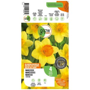 GROW by OBI Narzisse Fortune Blumenzwiebeln, 4 Stück. Gelbe Blüten mit orangefarbener Krone auf der Packung.