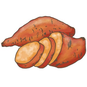 Illustration d'une patate douce entière et coupée. Type de légume.