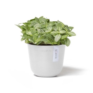 Ecopots Oslo Mini, pot de fleurs blanc (11,5x10cm) avec plante, pour intérieur et extérieur.