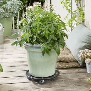 Wagner portapiante nero GH 0936 Ø 30 cm sotto una pianta in vaso su terrazza di legno.