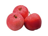 Mini-Apfelbaum Merlin pidi Topf 7,5 l