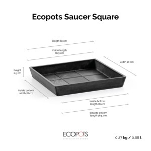 Soucoupe carrée Ecopots, gris foncé, 18 cm. Idéale pour les plantes d'intérieur et d'extérieur.