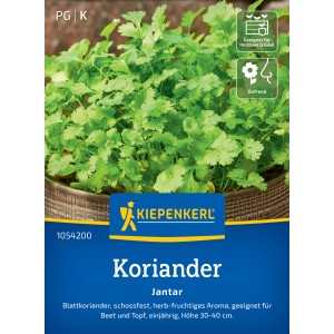Kiepenkerl Coriandolo Jantar: Coriandolo fresco in vaso, ideale per cucina e giardino.