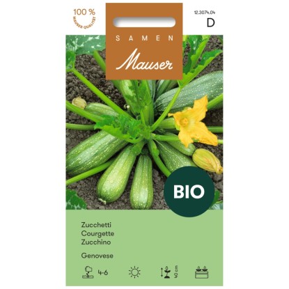 Courgette Genovese Bio