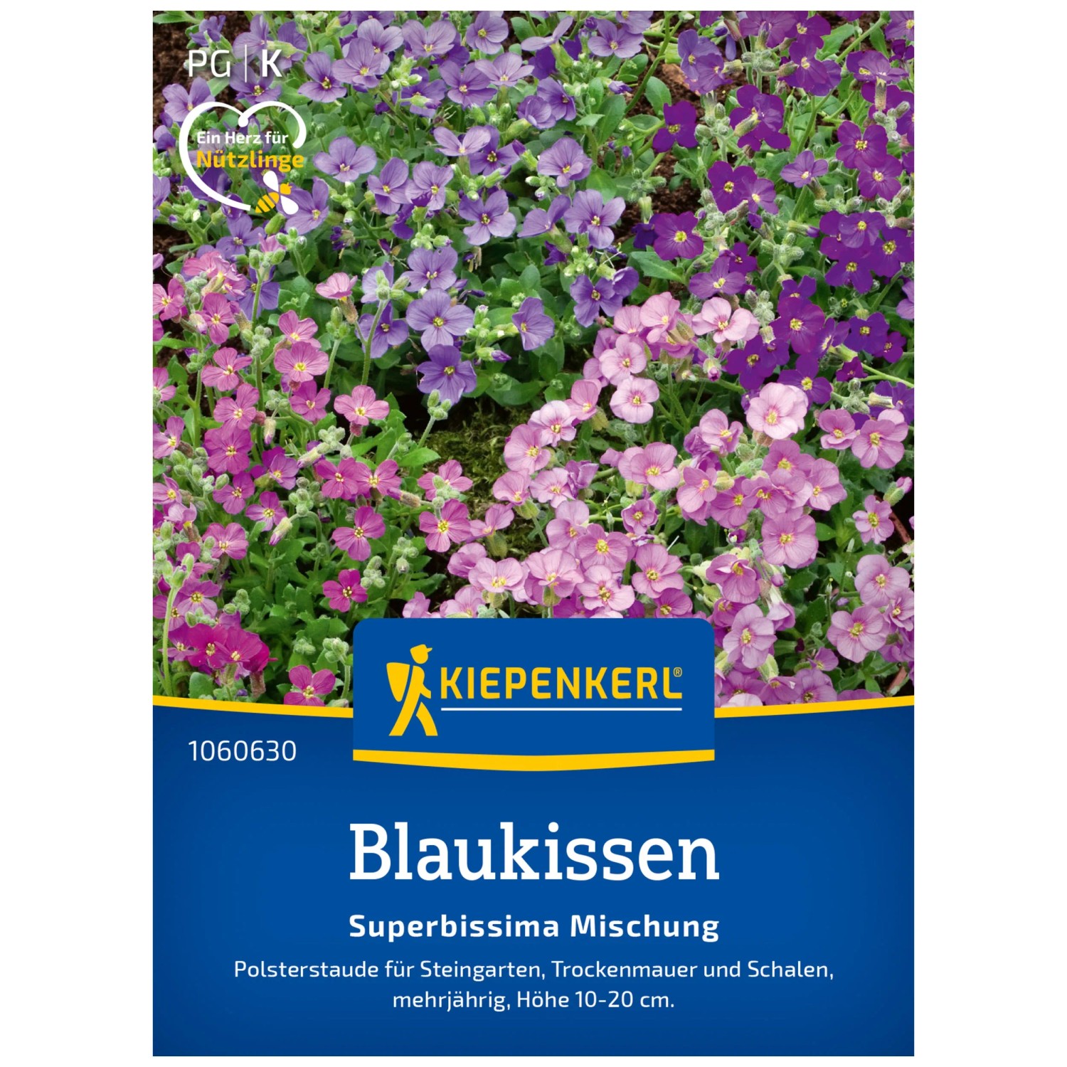Kiepenkerl Saatgut Blaukissen Superbissima Mischung 50 Pflanzen kaufen