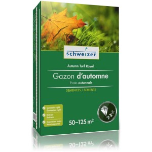 Herbstrasen-Saatgut Autumn Turf Royal, 1,25 kg Packung für dichten, widerstandsfähigen Rasen.