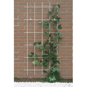 Spalliera in metallo bianco 150x75 cm su muro di mattoni con pianta rampicante.