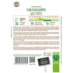 Sperli Concombre Conny F1 pour conserves : précoce, résistant, idéal pour les conserves.