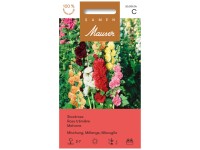 Rose trémière Mélange