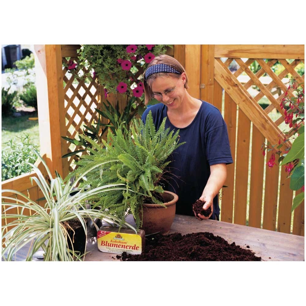 Kokohum Blumenerde Brikett 600 g kaufen bei OBI