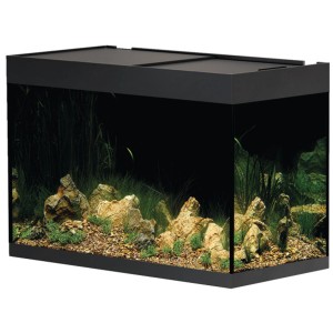 Oase Aquarium-Set Styleline 175 Noir avec décoration. Aquarium complet avec meuble.