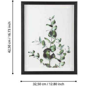 Tableau Eglo Roberval avec motif eucalyptus dans un cadre noir, 32,5x42,5cm.