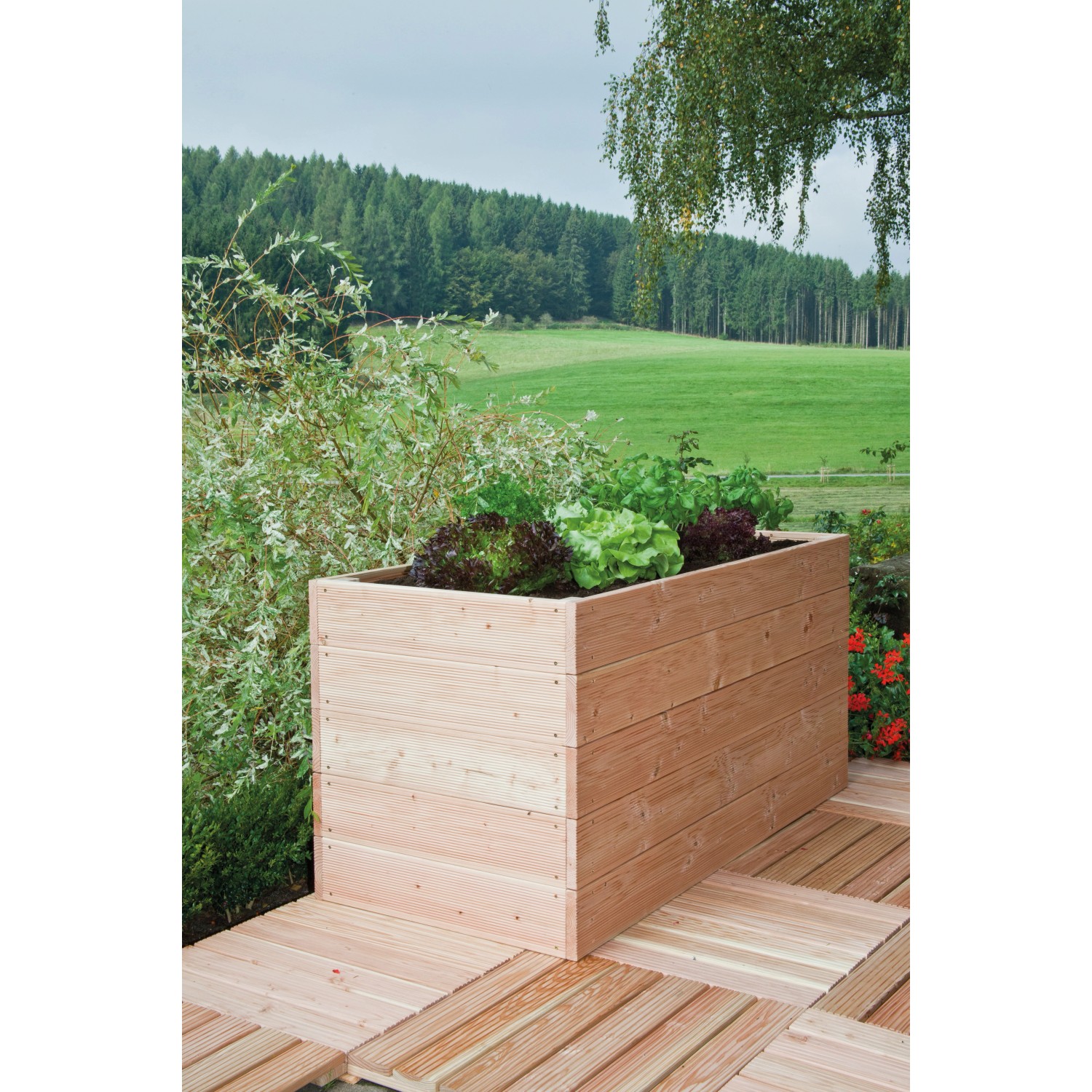 Hochbeet Douglasie Natur 74 cm x 200 cm x 100 cm kaufen bei OBI