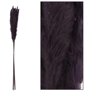 Pampas nera decorativa, altezza circa 65-75 cm, per interni.