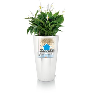 Pot de fleurs blanc Lechuza Rondo Premium (Ø 32 cm) avec système d'irrigation et plante.
