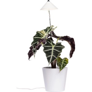 Lampada LED bianca per piante (7W) con asta telescopica in vaso bianco per la coltivazione.